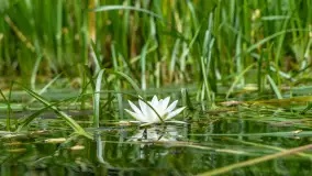 Rejs Mazury24 Omegą po Sapinie, sierpień 2024 r. - zdjęcie 7