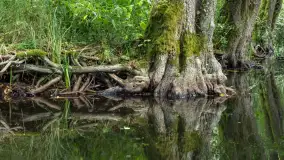 Rejs Mazury24 Omegą po Sapinie, sierpień 2024 r. - zdjęcie 31