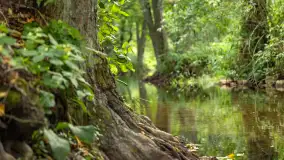 Rejs Mazury24 Omegą po Sapinie, sierpień 2024 r. - zdjęcie 15