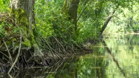 Rejs Mazury24 Omegą po Sapinie, sierpień 2024 r. - zdjęcie 43