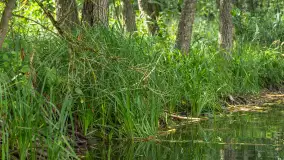 Rejs Mazury24 Omegą po Sapinie, sierpień 2024 r. - zdjęcie 20