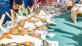 Festiwal Kultury Średniowiecza Masuria 2024, fotorelacja - zdjęcie 3