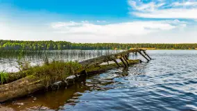 Puszcza Piska na początku września 2024 r. - zdjęcie 54