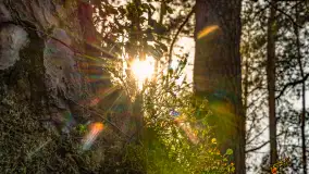 Puszcza Piska na początku września 2024 r. - zdjęcie 19