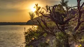 Puszcza Piska na początku września 2024 r. - zdjęcie 40