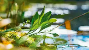 Puszcza Piska na początku września 2024 r. - zdjęcie 126