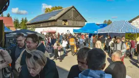 Fotorelacja z Mazurskiego Redyku w Sołdanach, październik 2024 - zdjęcie 46