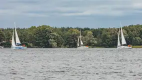 Fotorelacja z regat Robert's Cup, 27-28 września 2024 r. - zdjęcie 247