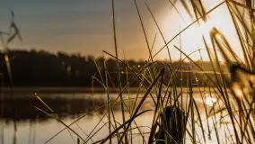 Wschód słońca nad jeziorem Iławki, październik 2024 r. - zdjęcie 4