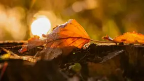 Wschód słońca nad jeziorem Iławki, październik 2024 r. - zdjęcie 3