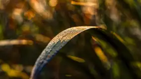 Wschód słońca nad jeziorem Iławki, październik 2024 r. - zdjęcie 27