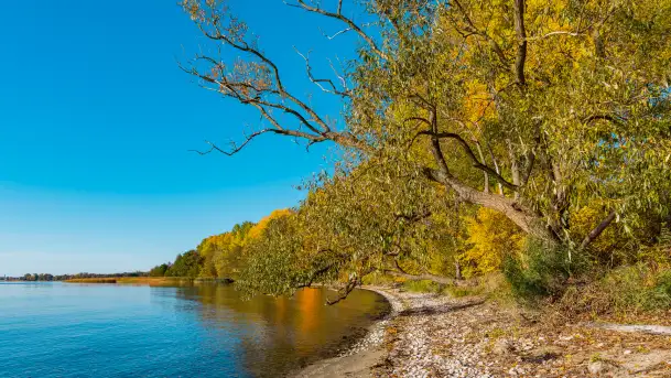 Jesień nad jeziorem Niegocin, październik 2024 r. - zdjęcie 3