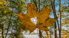 Jesień nad jeziorem Niegocin, październik 2024 r. - zdjęcie 23