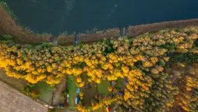 Jezioro Iławki z lotu ptaka o wschodzie słońca, październik 2024 r. - zdjęcie 15