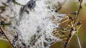 Mgły nad mazurskimi polami i łąkami, październik 2024 r. - zdjęcie 15