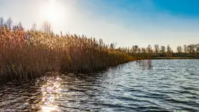 Kolory Mazur w drugiej połowie listopada, 2024 r. - zdjęcie 18