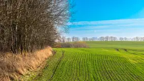 Kolory Mazur w drugiej połowie listopada, 2024 r. - zdjęcie 31