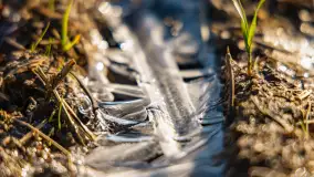 Kolory Mazur w drugiej połowie listopada, 2024 r. - zdjęcie 35