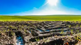 Kolory Mazur w drugiej połowie listopada, 2024 r. - zdjęcie 34