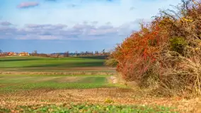 Kolory Mazur w drugiej połowie listopada, 2024 r. - zdjęcie 20