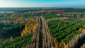 Kolory Mazur w drugiej połowie listopada, 2024 r. - zdjęcie 5