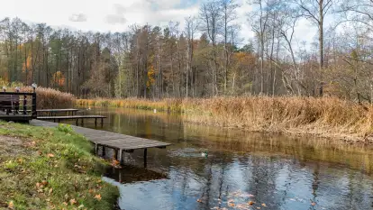 Krutynia na początku listopada 2024