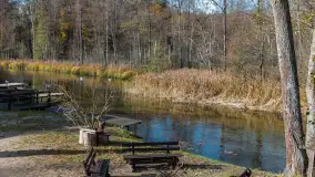 Krutynia na początku listopada 2024 - zdjęcie 10