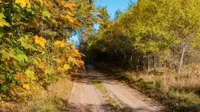 Podsumowanie mazurskiej, złotej jesieni 2024, cz. I - zdjęcie 48