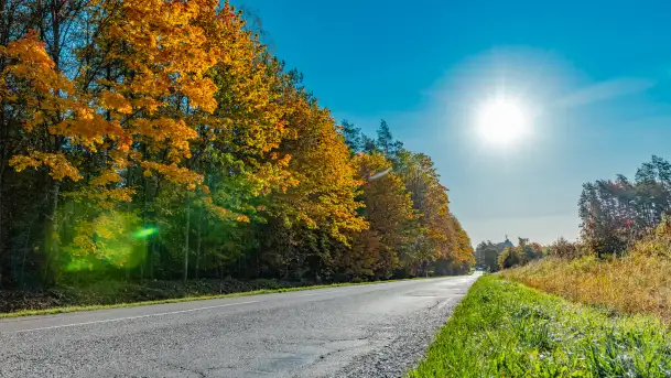 Podsumowanie mazurskiej, złotej jesieni 2024, cz. I - zdjęcie 7