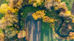 Podsumowanie mazurskiej, złotej jesieni 2024, cz. I - zdjęcie 44