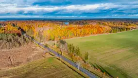 Podsumowanie mazurskiej, złotej jesieni 2024, cz. I - zdjęcie 26