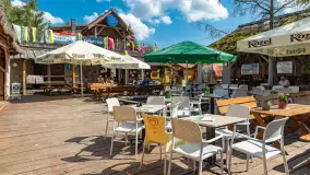 Tło dla Mew, sezon 2024 r. - zdjęcie 21