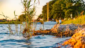 Sierpniowy zachód słońca, jezioro Kisajno i mazurska przyroda - zdjęcie 24