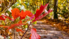 Podsumowanie mazurskiej, złotej jesieni 2024, cz. II - zdjęcie 9