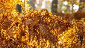 Podsumowanie mazurskiej, złotej jesieni 2024, cz. II - zdjęcie 20