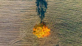 Podsumowanie mazurskiej, złotej jesieni 2024, cz. II - zdjęcie 13