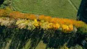 Podsumowanie mazurskiej, złotej jesieni 2024, cz. II - zdjęcie 21