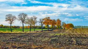 Podsumowanie mazurskiej, złotej jesieni 2024, cz. III - zdjęcie 23