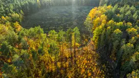 Podsumowanie mazurskiej, złotej jesieni 2024, cz. III - zdjęcie 30