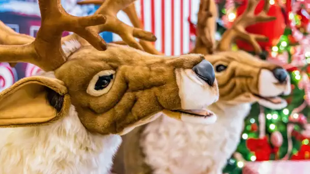 Przystań Świętego Mikołaja w Gwarku – Mazury Zimą Pełne Magii - zdjęcie 6