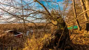 Słoneczny, późno jesienny dzień nad Niegocinem, grudzień 2024 r. - zdjęcie 11