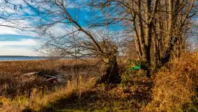 Słoneczny, późno jesienny dzień nad Niegocinem, grudzień 2024 r. - zdjęcie 28