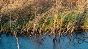 Słoneczny, późno jesienny dzień nad Niegocinem, grudzień 2024 r. - zdjęcie 21