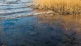 Słoneczny, późno jesienny dzień nad Niegocinem, grudzień 2024 r. - zdjęcie 27