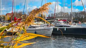 Stranda na początku listopada 2024 r. - zdjęcie 1