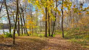 Łabędzi Ostrów w Pięknej Górze w jesiennych barwach - zdjęcie 6