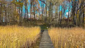 Łabędzi Ostrów w Pięknej Górze w jesiennych barwach - zdjęcie 8
