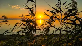 Zachód słońca nad jeziorem Dargin, Dziki Harsz, wrzesień 2024 r. - zdjęcie 6