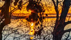 Wschód słońca nad jeziorem Dargin, most Sztynorcki, grudzień 2024 r. - zdjęcie 9