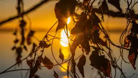 Wschód słońca nad jeziorem Dargin, most Sztynorcki, grudzień 2024 r. - zdjęcie 26